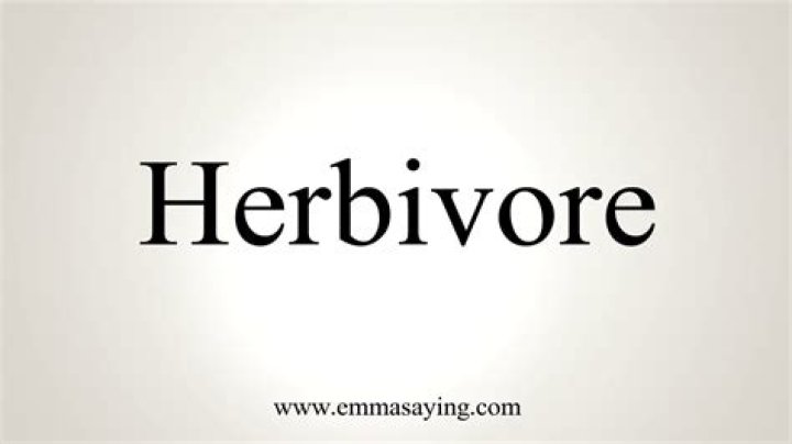 How to pronounce herbivore