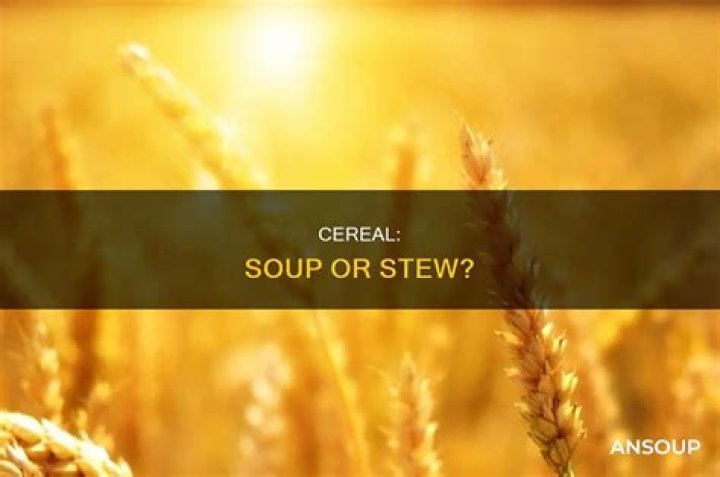 Is cereal a soup or stew