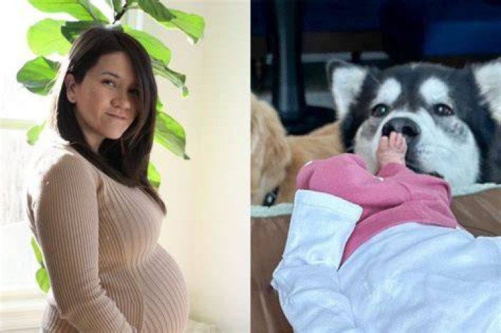 Is Laci J Mailey Pregnant? Actress From The Pregnancy Project Might Be Expecting Second Child