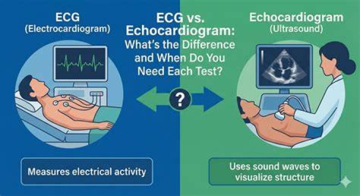 What is the Difference Between ECG and Echocardiography
