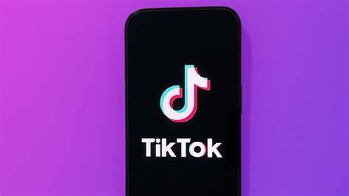 Who is Originalvvs TikTok? Meet Indiavvsofficial On Instagram